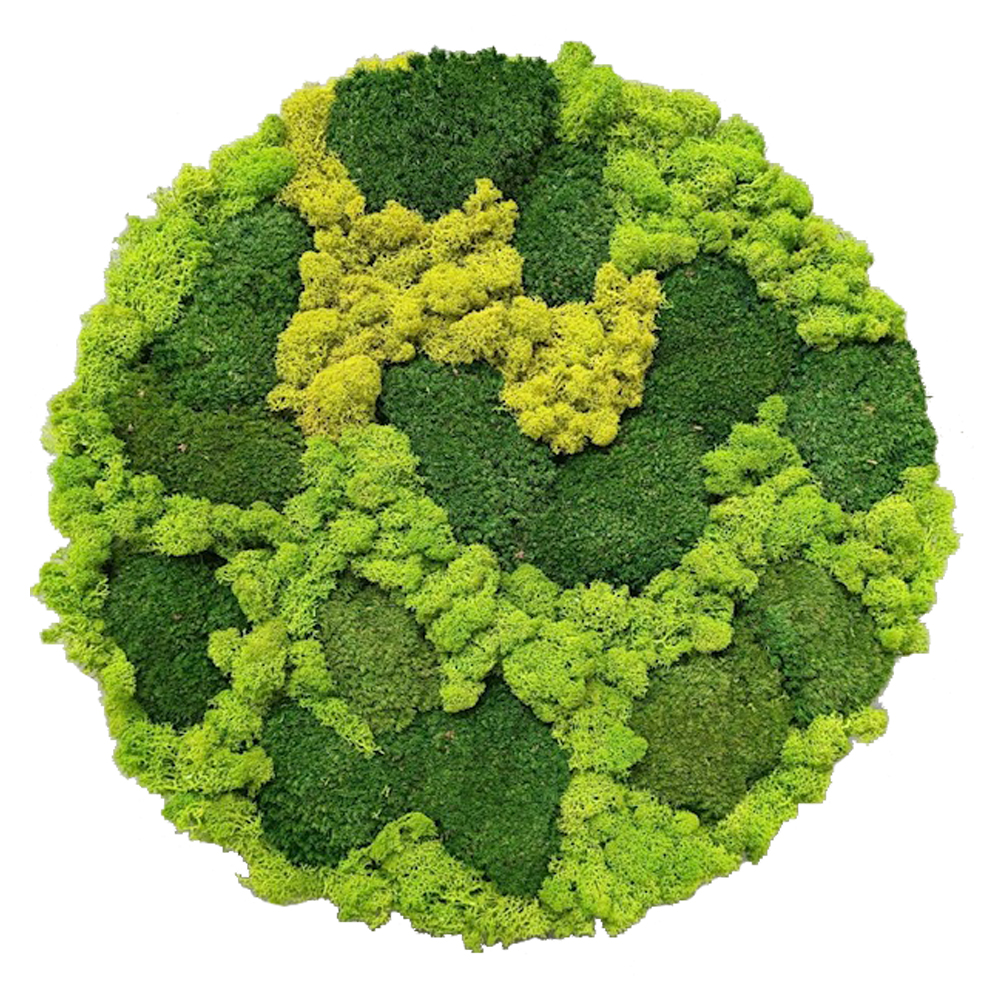 MOSS